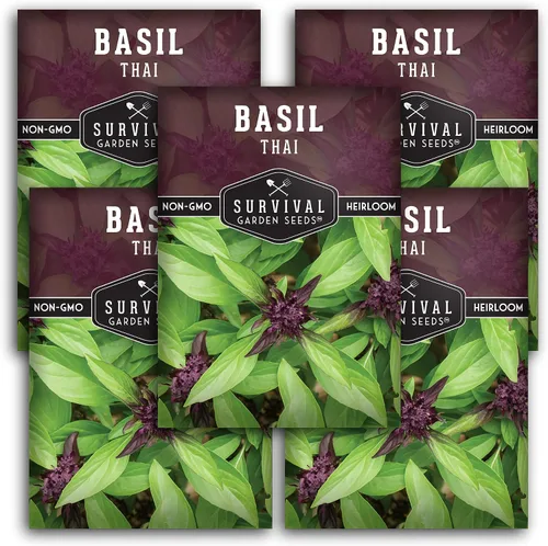 Miniatura 12 de Semillas de albahaca tailandesa para plantar – Albahaca dulce tailandesa con sabor a anís para cocina asiática – Semillas de hierbas tradicionales