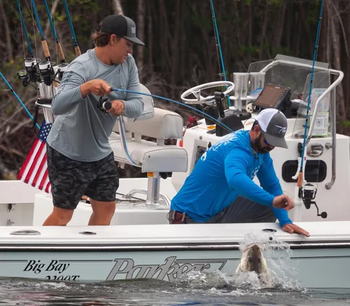 Miniatura 4 de Temple Fork Outfitters Cañas giratorias Tactical Inshore Series - Nuevo 2022, azul