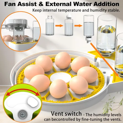 Miniatura 5 de Incubadoras de huevos para incubar huevos, incubadora de huevos de pollo 8/30 con giro automático de huevos, control de temperatura y pantalla
