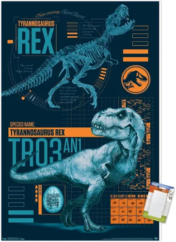 Miniatura 14 de Trends International Jurassic World: Fallen Kingdom - Póster de pared T-Rex, 14.725 x 22.375 pulgadas, versión enmarcada de madera de granero