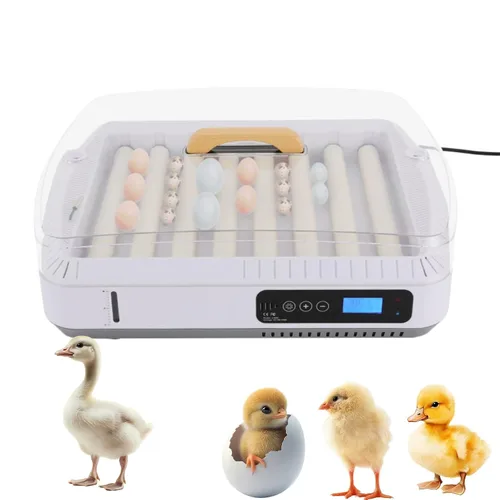 Miniatura 14 de 12 incubadoras para incubar huevos, incubadora de huevos de gallina con giro automático de huevos y pantalla de humedad y luz LED para incubar pollos