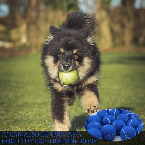 Miniatura 6 de Swingers Pelotas de tenis, pelotas de ejercicio de entrenamiento para mascotas, pelotas de tenis de práctica de alta elasticidad para principiantes
