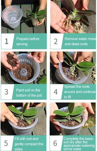 Miniatura 4 de Macetas de plástico transparente para orquídeas con agujeros, maceta de plástico para orquídeas, macetas blancas con bandejas de drenaje
