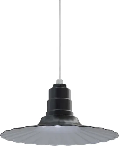 Miniatura 40 de Steel Lighting Co. Colgante Eagle Rock Lámpara montada en el techo Onda radial de 16 pulgadas vástago de 12 pulgadas Acero resistente