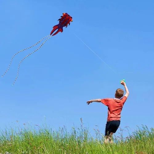 Miniatura 7 de Kizh Kite Giant 3D Dolphin - Cometa de parafoil suave sin marco para niños y adultos, cometa fácil de volar para playa, parque, jardín, parque