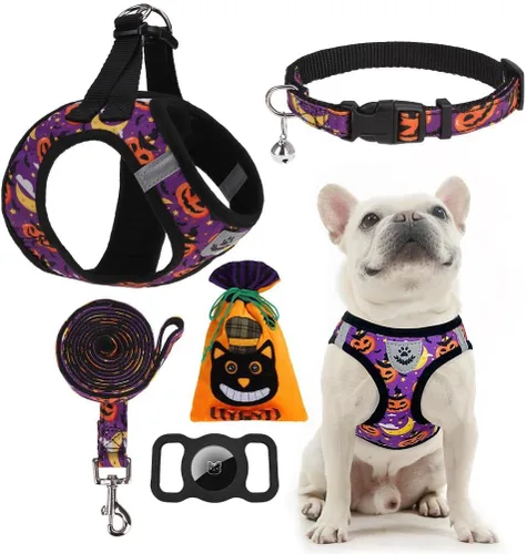 Miniatura 13 de EXPAWLORER Arnés Clásico de Plátanos para Cachorros - Juego de Arnés y Correa para Perros Pequeños - Juego de Collar y Correa para Perros con Azul