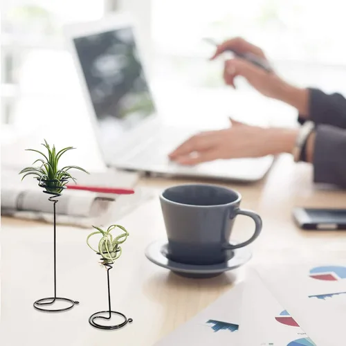 Miniatura 3 de AHANDMAKER Paquete de 6 soportes para plantas de aire, 3 tamaños, contenedor de plantas de aire, soporte Tillandsia para exhibir plantas de aire