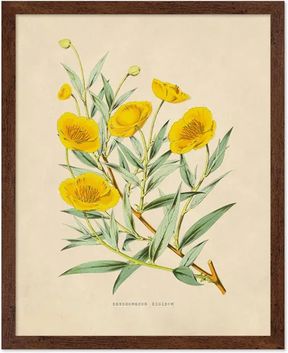 Miniatura 11 de Poster Master Póster Vintage de Plantas Cultivadas - Impresión Botánica Retro - Arte de Flores - Arte de Plantas - Regalo para Hombres y Mujeres