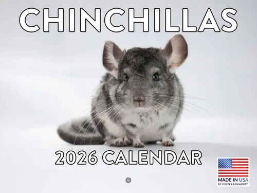 Miniatura 81 de Calendario alpaca 2026, calendario mensual de pared de 12 meses Hecho en Estados Unidos.