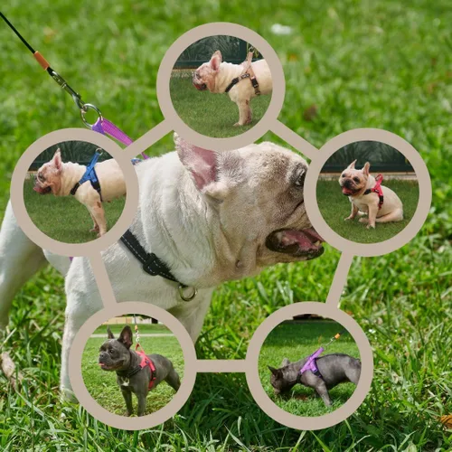Miniatura 8 de Arnés para perro sin tirones con asa, clip trasero y delantero, ajustable, fácil de poner y quitar, reflectante, ligero y acolchado de malla, sin