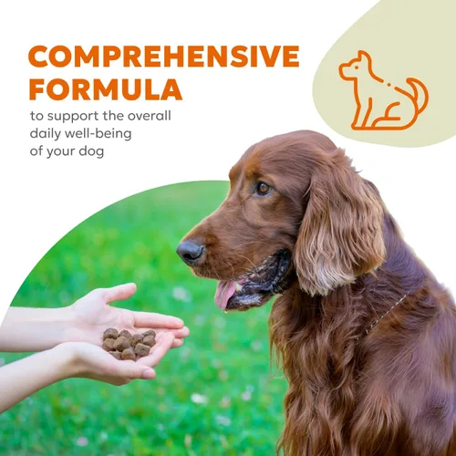Miniatura 4 de Masticables suaves 10 en 1 para perros, apoyo avanzado para articulaciones, digestión, inmunidad, piel y pelaje, energía, músculos, huesos