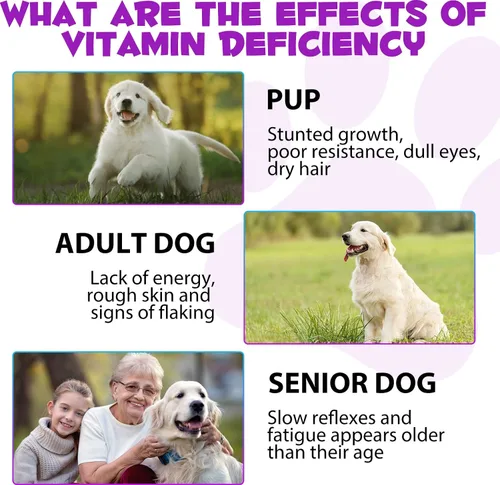 Miniatura 6 de Multivitamínico líquido para perros, vitaminas 15 en 1 para perros, multivitamínico para apoyar la piel y el abrigo, corazón, huesos