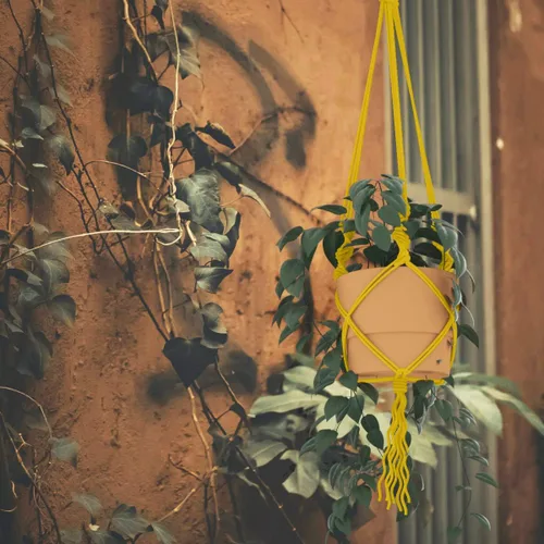 Miniatura 9 de ZUEXT - Cordón de algodón de macramé de 0.197 in x 328 yardas, cuerda trenzada de jengibre natural hecha a mano, 4 hebras, cuerda de punto