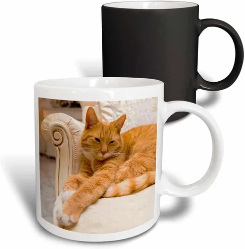 Miniatura 13 de 3D Rose Happy Orange Tabby Cat Relaxing on Fancy Armchair - Taza de cerámica de dos tonos, color negro