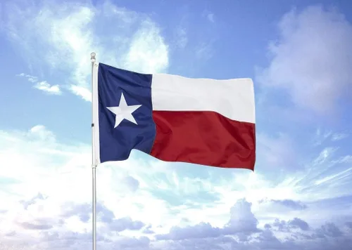 Miniatura 8 de Homissor Bandera del estado de Texas de 3 x 5 pies, banderas bordadas cosidas TX banderas de nailon resistentes para exteriores, color vivo, ojales