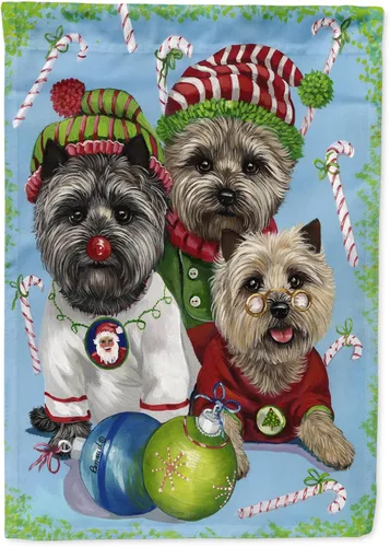 Miniatura 358 de Caroline's Treasures PPP3097CHF - Pijama de Navidad con diseño de bulldog francés para colgar en la pared, poliéster, tamaño de casa, multicolor