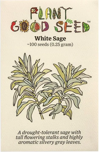 Miniatura 10 de Plant Good Seed Semillas orgánicas de salvia clara para plantar: hierba para cosméticos, flores moradas fragantes - Paquete de 50 semillas