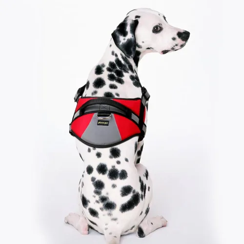 Miniatura 6 de Plutus Pet Chaleco de servicio para perro, arnés de chaleco para perro sin tirones con asa de fácil control, reflectante, transpirable, suave