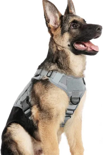 Miniatura 33 de rabbitgoo - Arnés táctico para perros pequeños, arnés resistente para mascotas con asa, chaleco de servicio sin tirones para razas pequeñas, chaleco