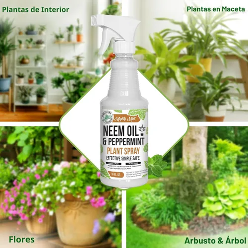 Miniatura 3 de Mighty Mint Spray nutritivo para plantas de aceite de neem y menta, brillo natural de hojas para uso en interiores y exteriores, fórmula a base