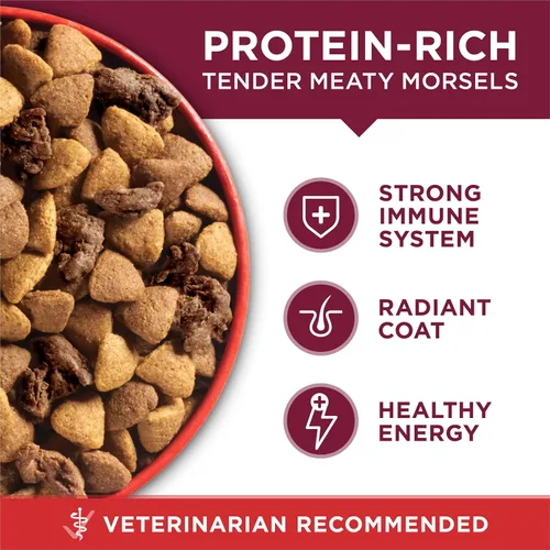 Miniatura 7 de Purina ONE Small Bites - Alimento seco para perros pequeños con fórmula de carne de res y arroz, con alto contenido de proteínas, natural