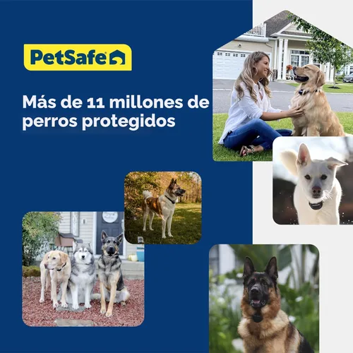 Miniatura 6 de PetSafe Sistema de Valla Subterránea Básica para 2 Perros - Barrera Eléctrica para Mascotas de Fácil Instalación con Banderas de Señalización Visual