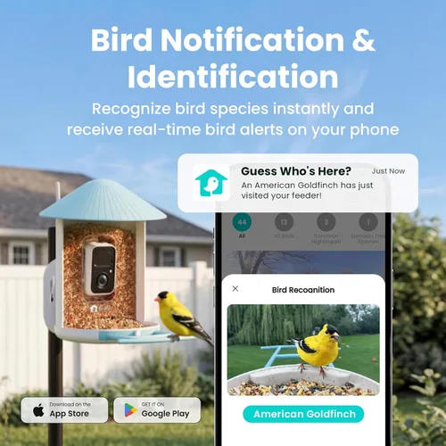 Miniatura 2 de NETVUE por Birdfy Alimentador Inteligente para Pájaros con Cámara AI Alimentado por Energía Solar, Observación de Aves Silvestres Inalámbrica de Azul
