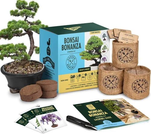Garden Republic - Kit de árbol bonsái para cultivar 3 mini árboles bonsái, cultivo de plantas de interior, kit de inicio con semillas, tierra,