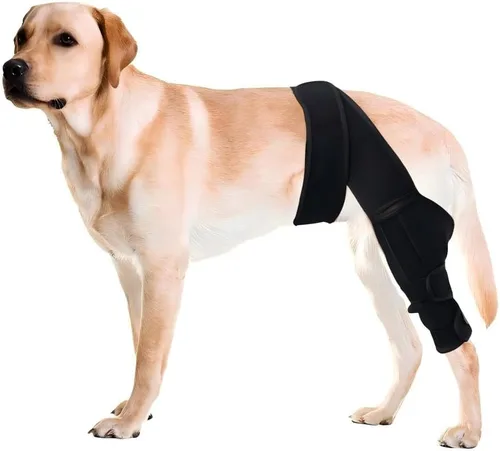 Rodillera de perro para pierna trasera desgarrada del ligamento cruzado anterior, soporte cómodo y ajustable con dos estabilizadores, soporte para