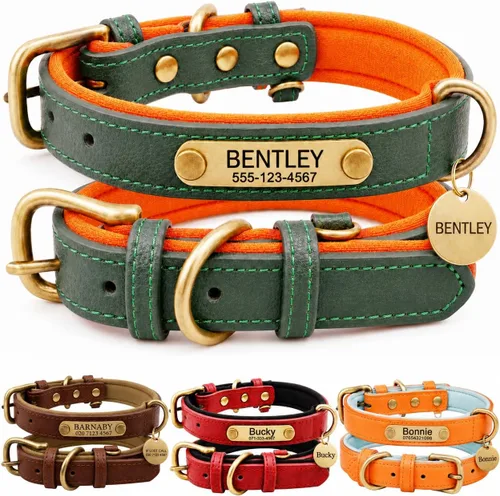 Miniatura 15 de Collar de cuero para perro personalizado y juego de correa, personalizado con diseño acolchado suave y resistente con placa de nombre grabada
