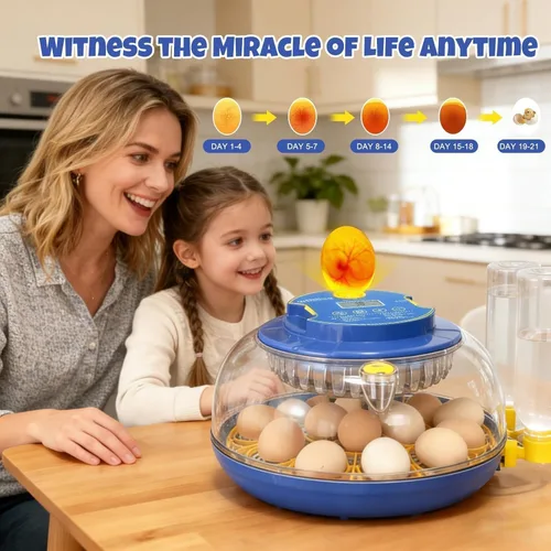 Miniatura 4 de Incubadora de 18 huevos para incubar pollos, codornices, patos y pavos, girador automático de huevos, control de humedad y pantalla digital, incluye