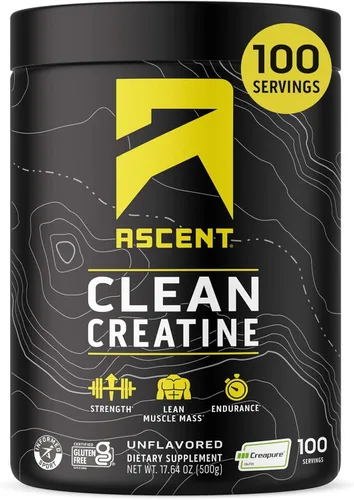 Ascent Polvo de monohidrato de creatina limpia, 0.18 oz por porción, suplemento de creatina Creapure - Sin sabor, 100 porciones