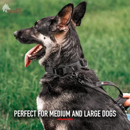 Miniatura 5 de Wolf Tactical Collar de perro - Collar militar resistente para perros grandes - Negro, Talla M