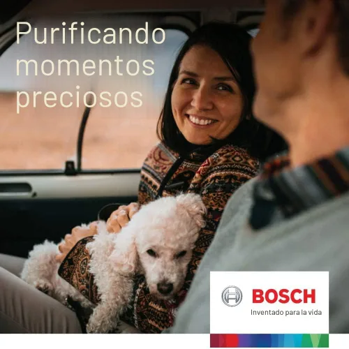 Miniatura 4 de BOSCH 6091C - Filtro de aire de cabina HEPA - Compatible con Buick Enclave, Encore GX seleccionado; Cadillac XT4, XT5; Chevrolet Camaro, Cruze