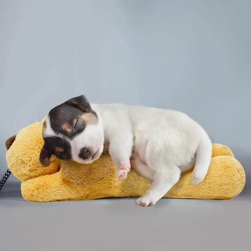 Miniatura 7 de HonourHope Juguete de latido del corazón para perro para aliviar la ansiedad, suave felpa para mascotas, ayuda para entrenamiento conductual