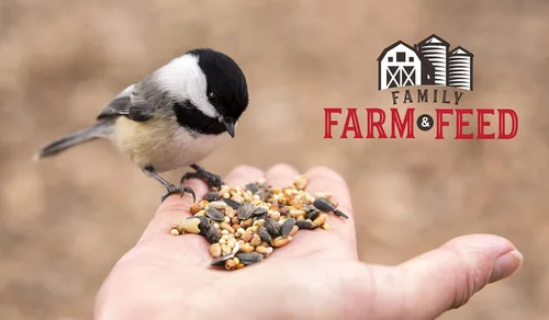 Miniatura 3 de Cuatro estaciones Mezcla de campo Alimento clásico para aves silvestres Pájaro cantor del patio trasero 4 libras Mezcla (Country Mix)