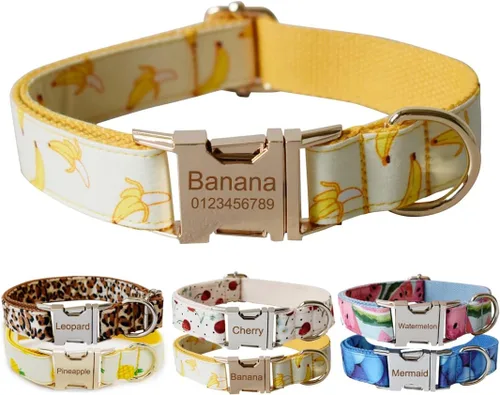 Miniatura 13 de Collar para perro personalizado con hebilla metálica - Collares para mascotas personalizados con nombre y número de teléfono (Estilo Terciopelo1)