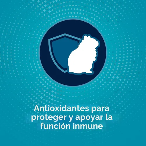 Miniatura 6 de Alimento para hámster, Kaytee Forti dieta pro salud, Púrpura