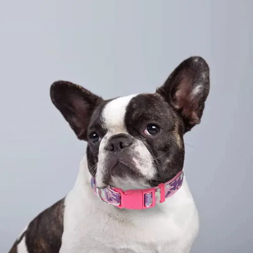 Miniatura 2 de Collar para perras chicas, medianas y grandes; collar rosa de nailon brillante, con hebilla de liberación rápida, suave para mascotas