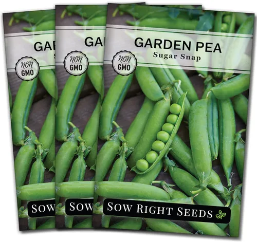 Miniatura 8 de Sow Right Seeds - Semillas de guisantes Sugar Snap para plantar - Paquete de reliquia sin OMG con instrucciones para plantar un huerto casero