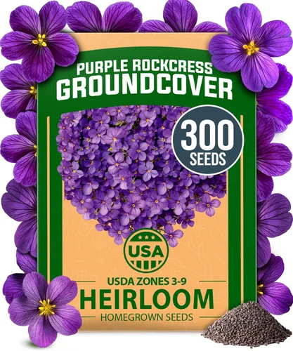 Miniatura 127 de HOME GROWN Mezcla de semillas germinantes de primera calidad, microgreens 118,200 semillas para cultivo en interiores, brócoli, alfalfa, rábano