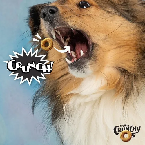 Miniatura 2 de Fromm Crunchy Os Bacon Blasters - Golosinas para perros con sabor a tocino, golosinas crujientes prémium para perros, receta de tocino, 6 onzas