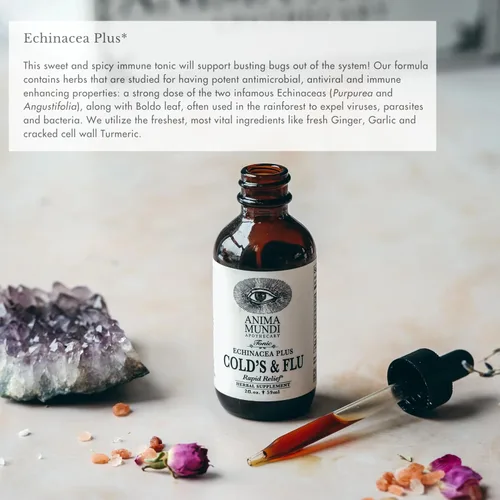 Miniatura 3 de Anima Mundi Apothecary Tónico para el resfriado y la gripe - Gotas de apoyo inmunológico con equinácea, ajo, raíz de cúrcuma y jengibre fresco