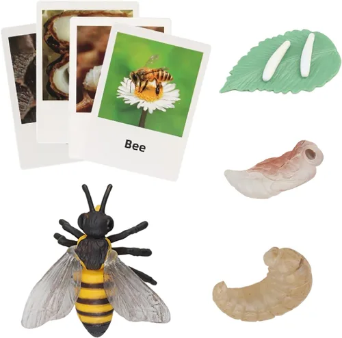 Miniatura 15 de Figuras del Ciclo de Vida de Animales Montessori con Tarjetas Flash, Juguetes de Figuritas de Animales Realistas, Juego Educativo de Emparejamiento