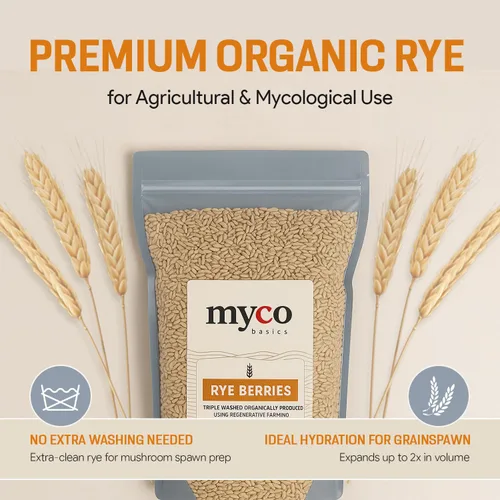 Miniatura 7 de Bayas de Centeno para Cultivo de Hongos - Grano de Centeno Orgánico, Triple Lavado para hacer Cultivo de Hongos en Grano por Mycology Basics - 5