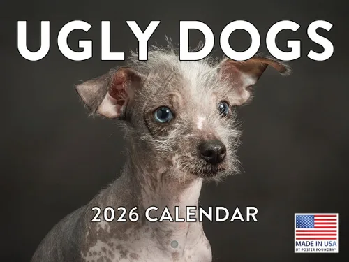 Miniatura 208 de Calendario de pared mensual 2025 Great Dane de 12 meses, fabricado en Estados Unidos