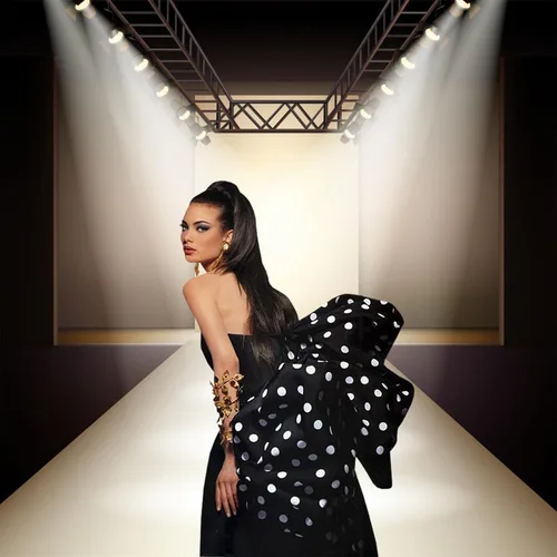 Miniatura 2 de Foco de pasarela de moda, telón de fondo iluminado de 10 x 10 pies, lámpara de fondo para fotografía, color plateado, escenario, pasarela, desfile