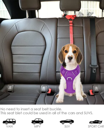 Miniatura 5 de Correa de cinturón de seguridad para perros y gatos Reposacabezas de automóvil Tela de nailon ajustable para perros Arnés de cinturones de seguridad