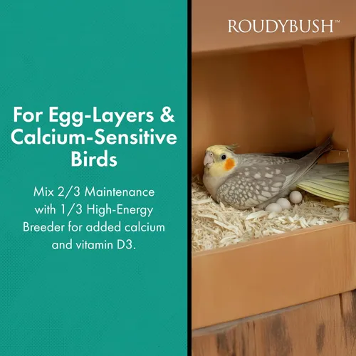 Miniatura 4 de RoudyBush Alimento bajo en grasa para pájaros y pollitos adultos, comida diaria para aves, pellets hechos con maíz, trigo y soja, pellets bajos
