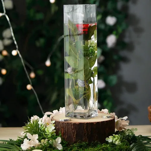 Miniatura 15 de Efavormart - Paquete de 6 jarrones cilíndricos cuadrados de vidrio resistente de 18 pulgadas, jarrón de cristal transparente